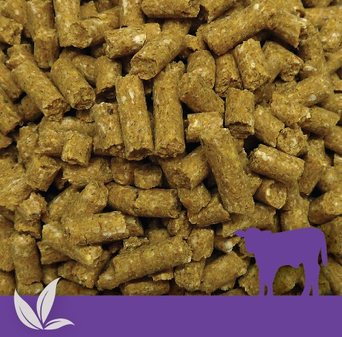 dnv-341-productimage-organic-calf