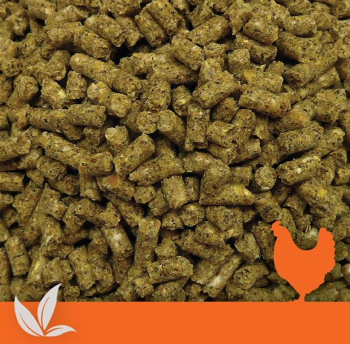 dnv-341-productimage-organic-layer